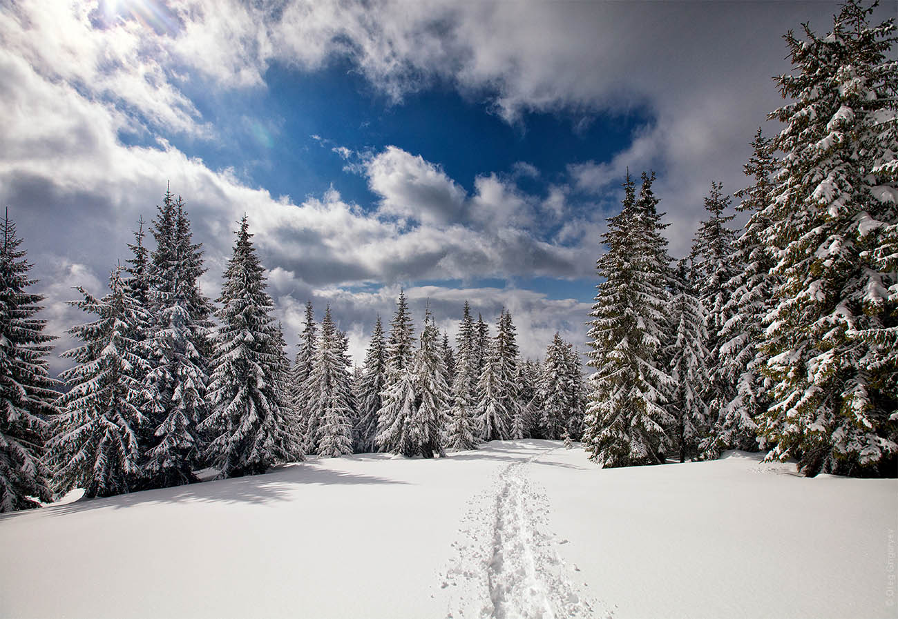 Winter hike photo