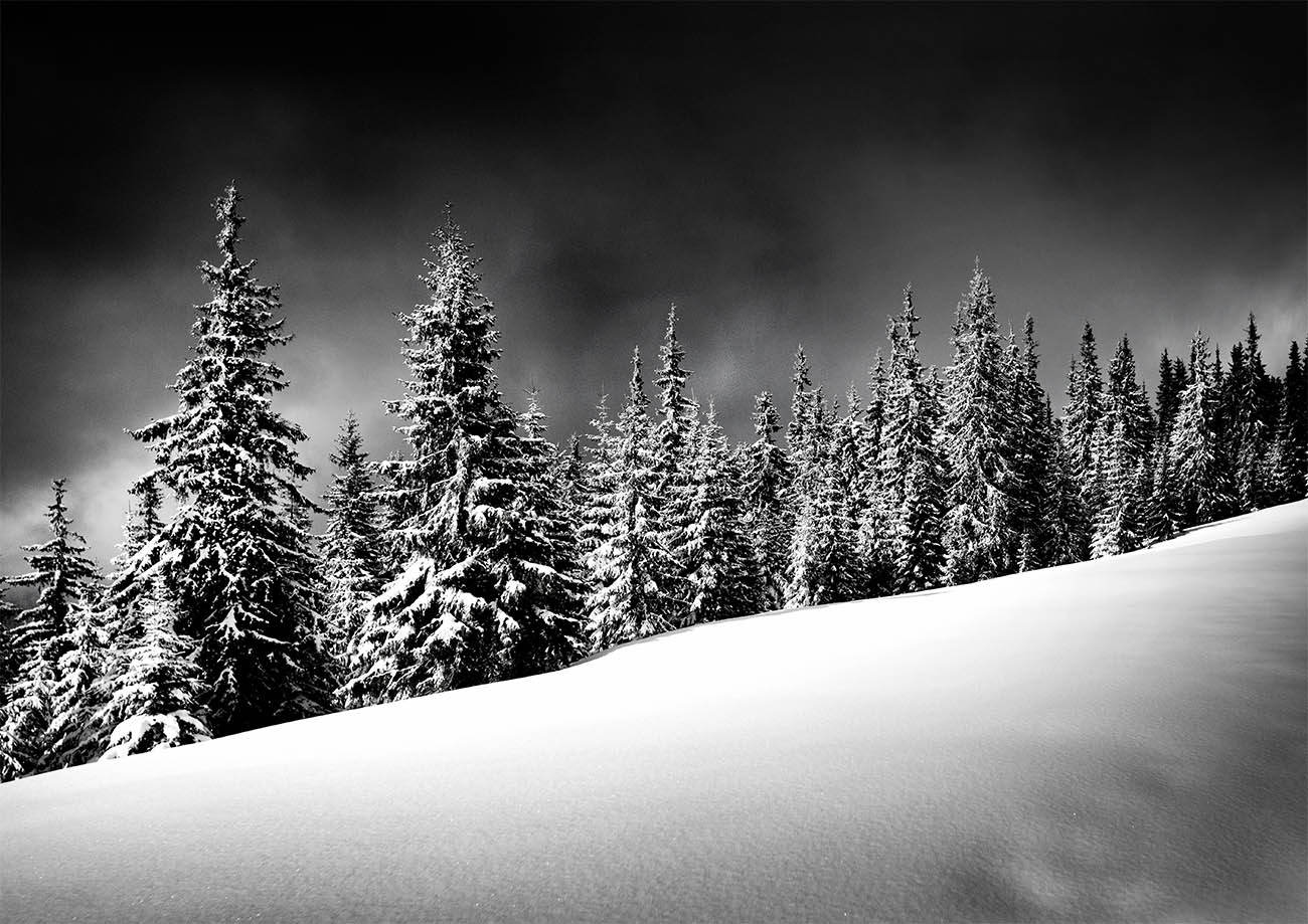 Carpathians in winter