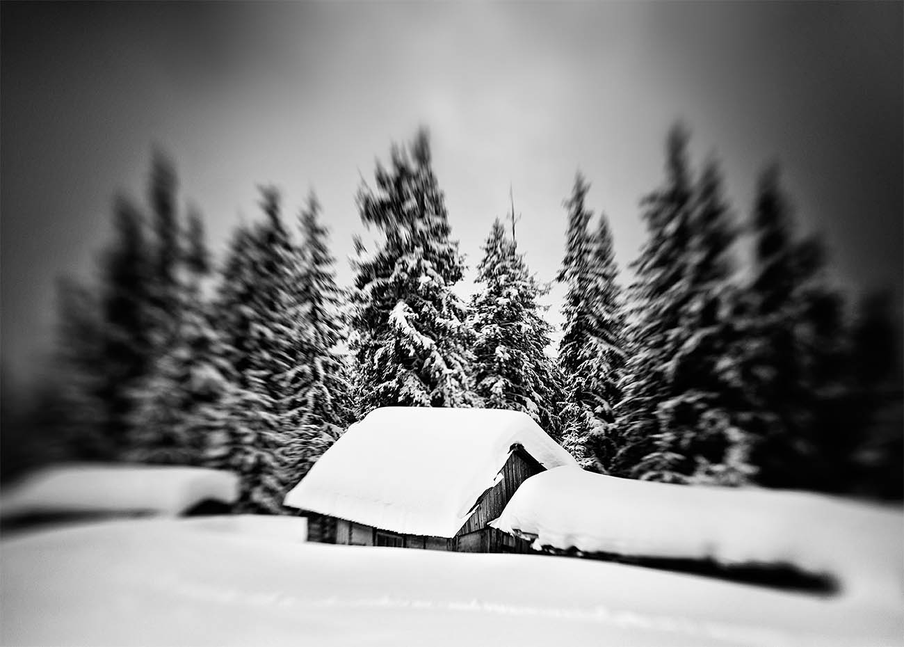 Chornohora ridge of the Carpathians