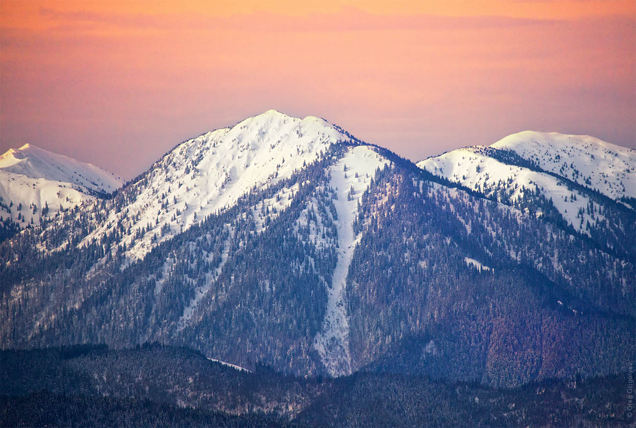 Carpathians in winter