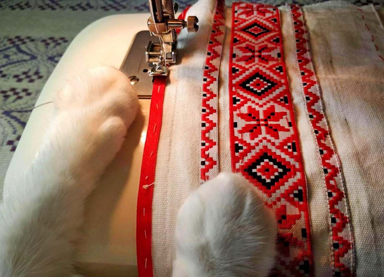 Embroidered shirt for a pet