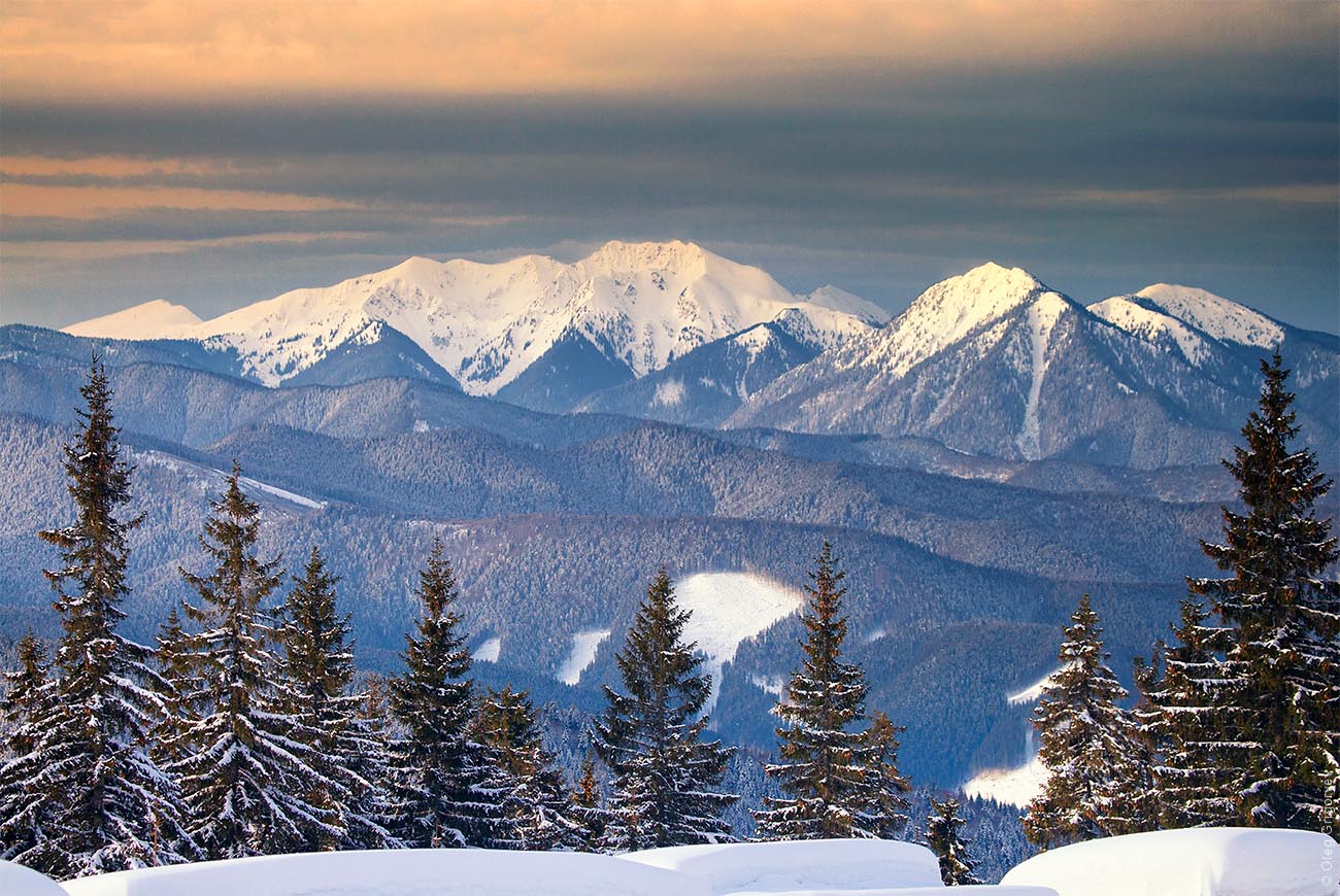 Landscape of the Carpathians