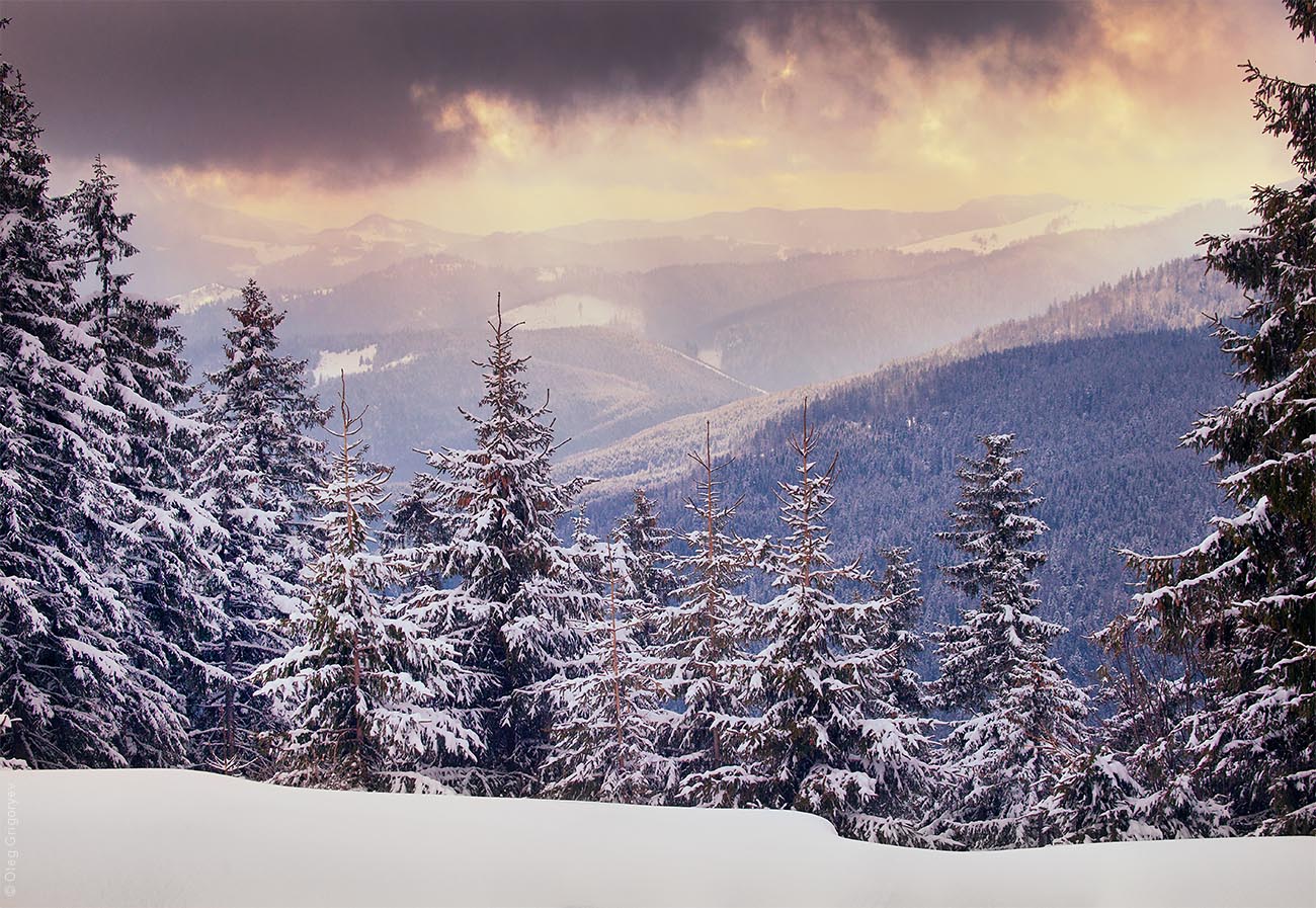 Ukrainian Carpathians photo