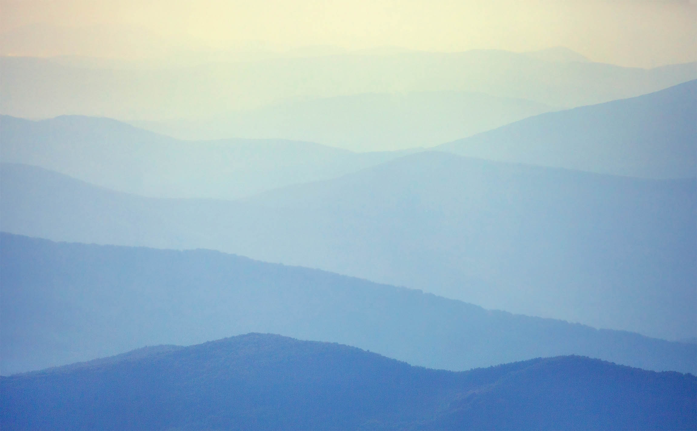 Landscape of the Carpathians