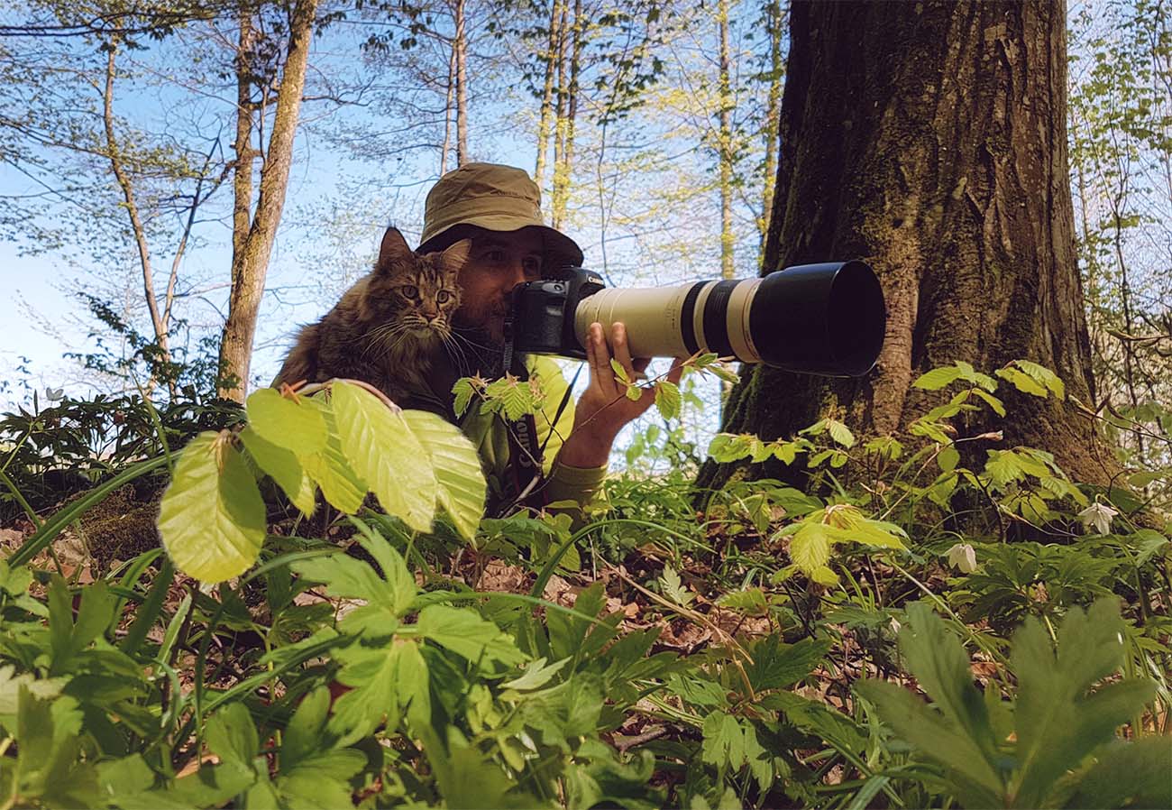 Photo shoot with a pet in nature