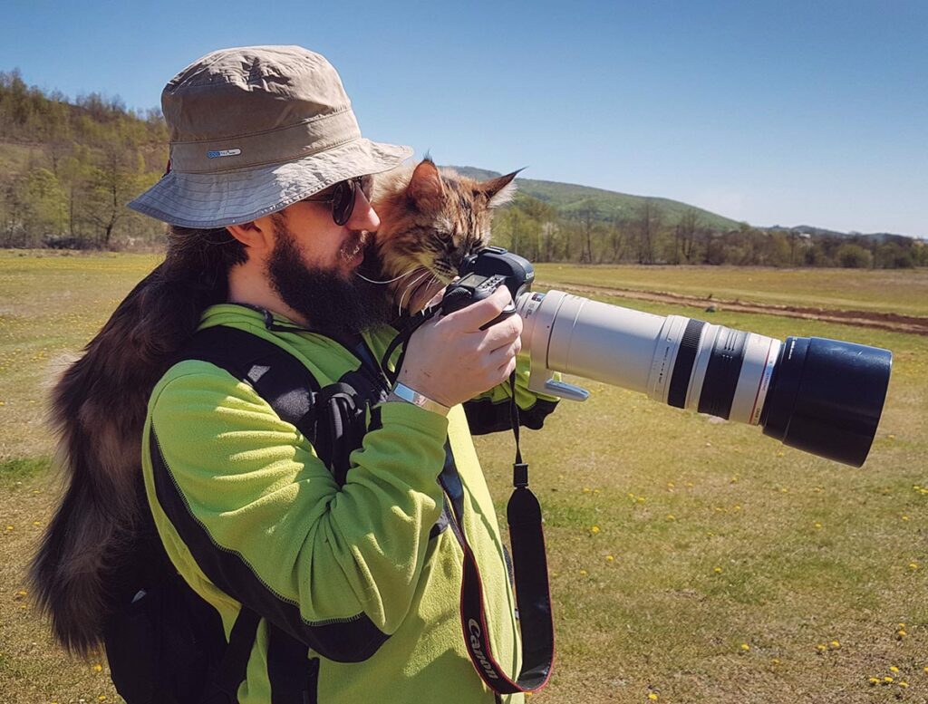 Как фотографировать домашних животных