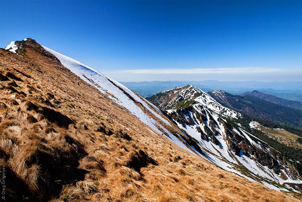 Carpathians in winter