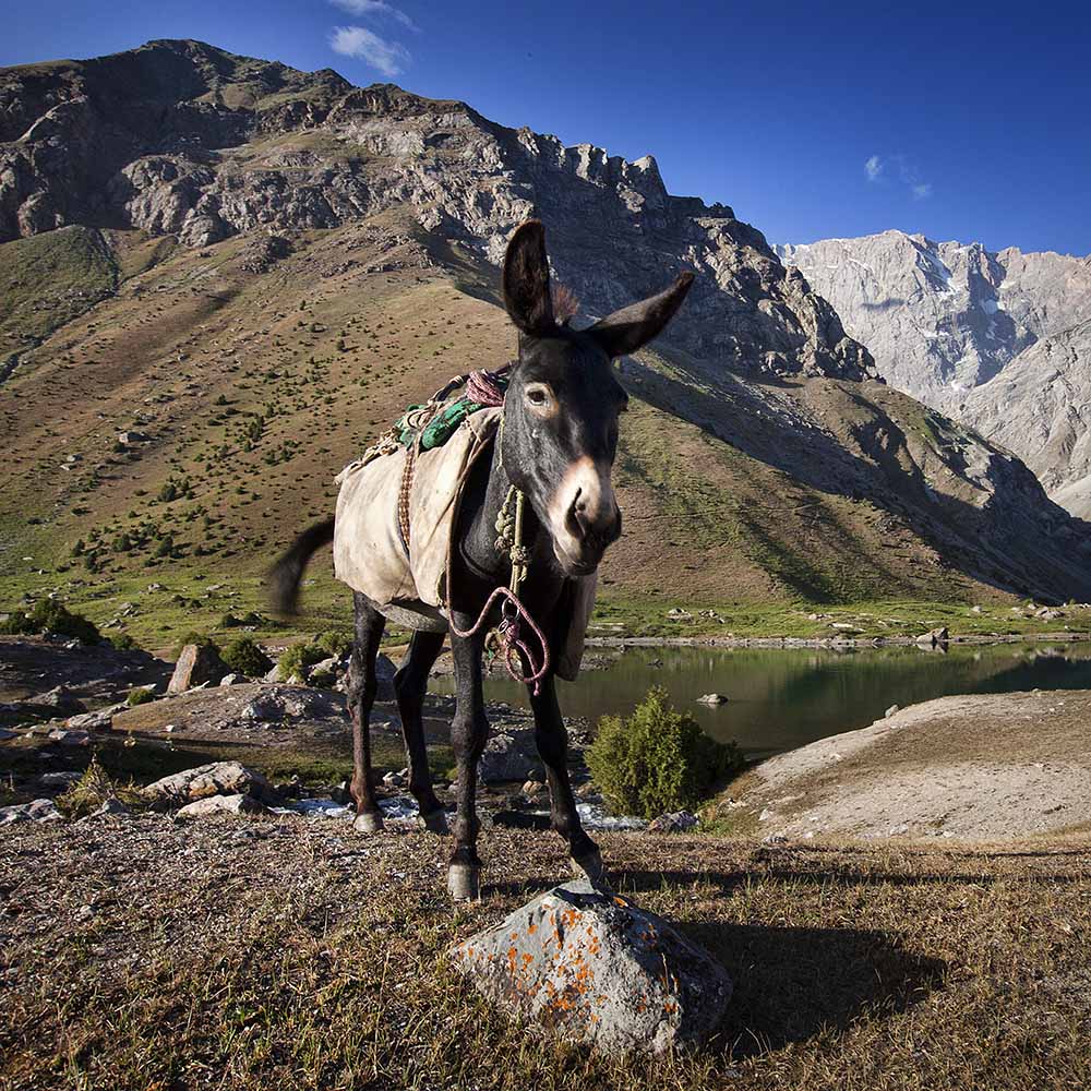 Фанские горы Поход в Таджикистан