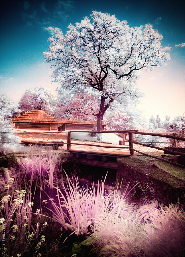 Infrared photography shooting processing