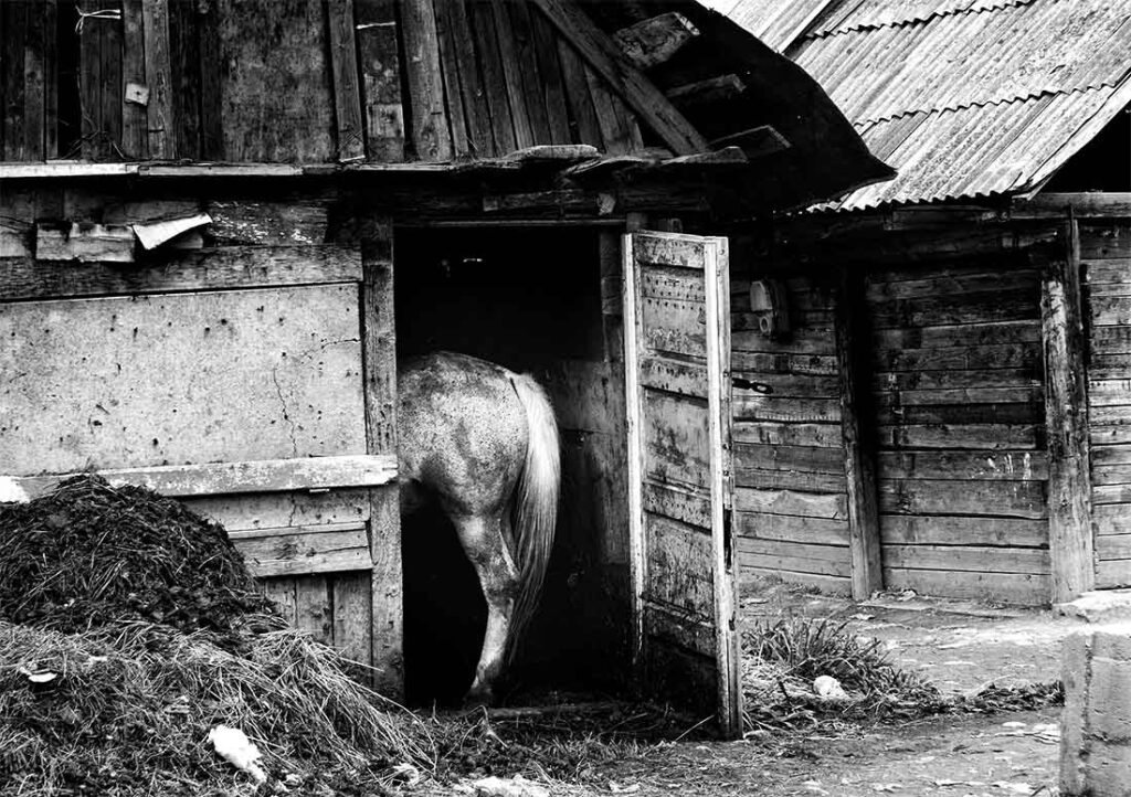 Gypsy camp in Ukraine photo