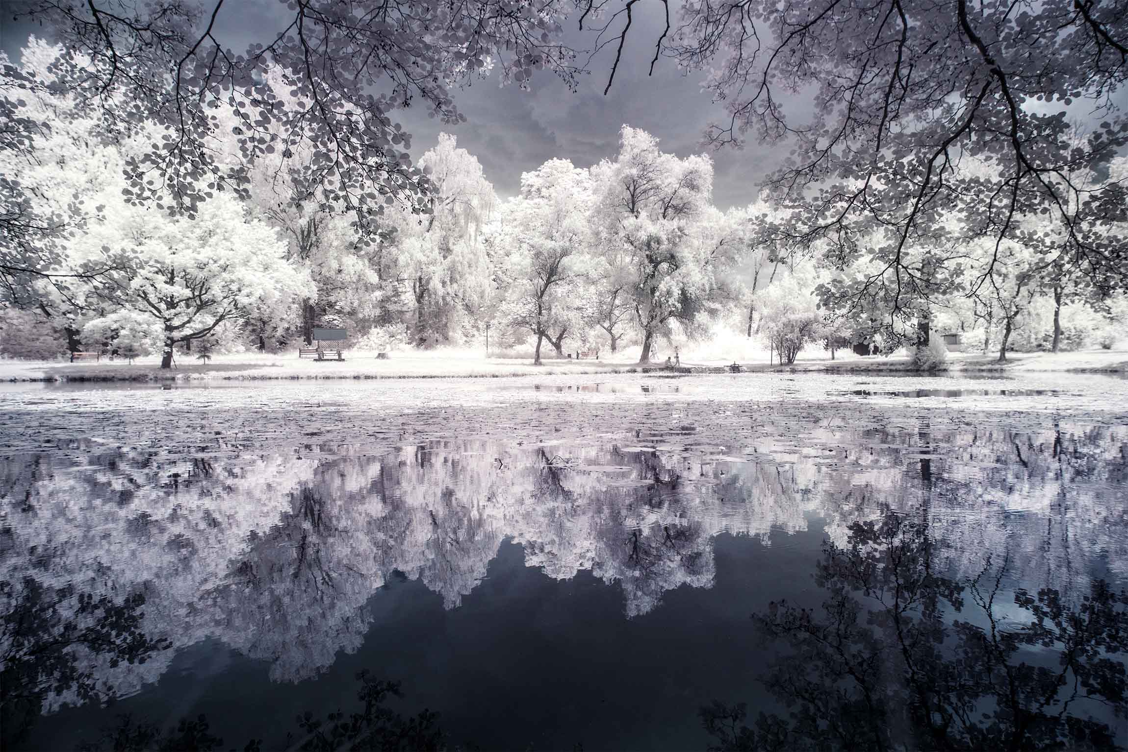 California Seen in Stunning Infrared Photography | Moss and Fog