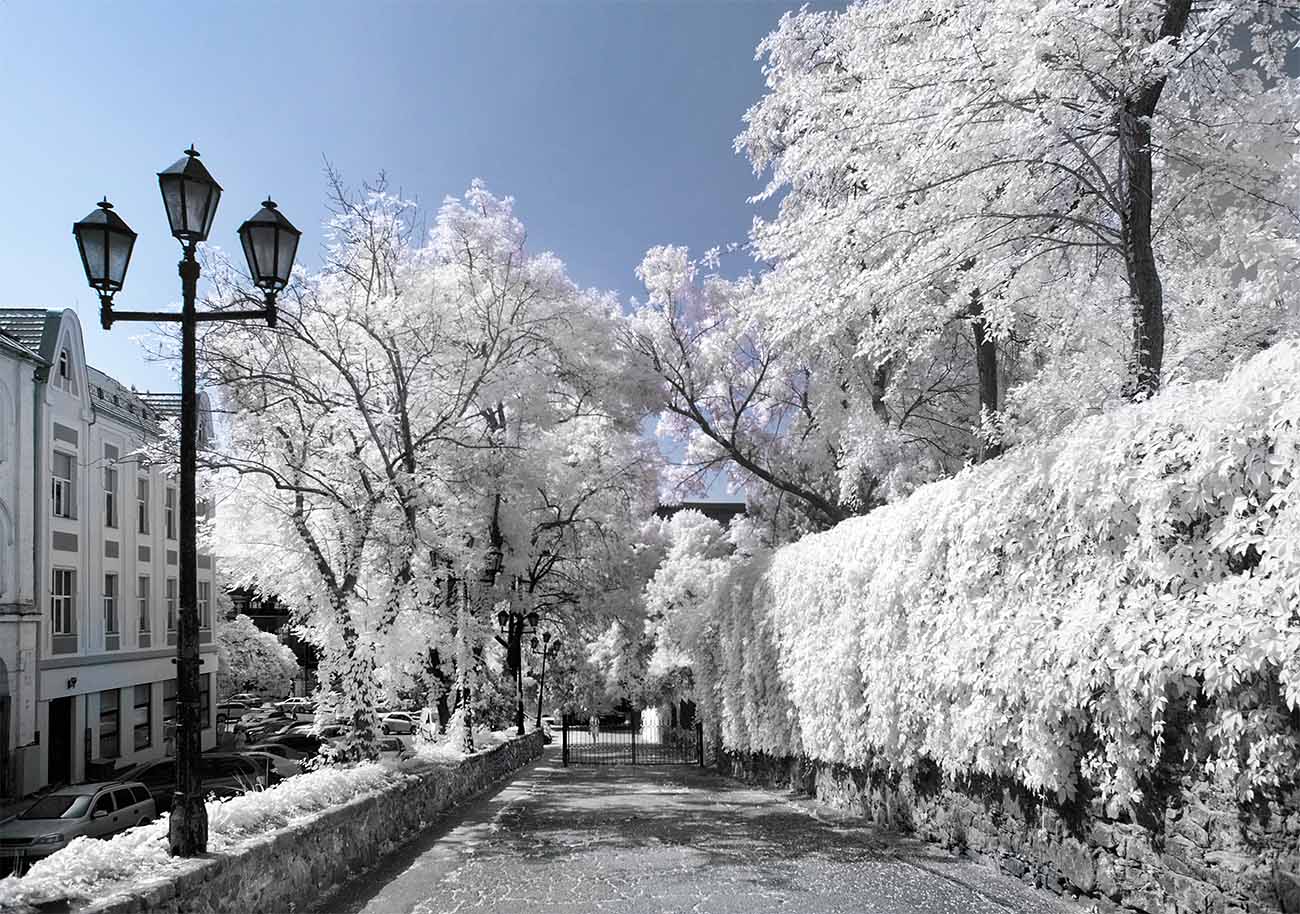 Infrared photography