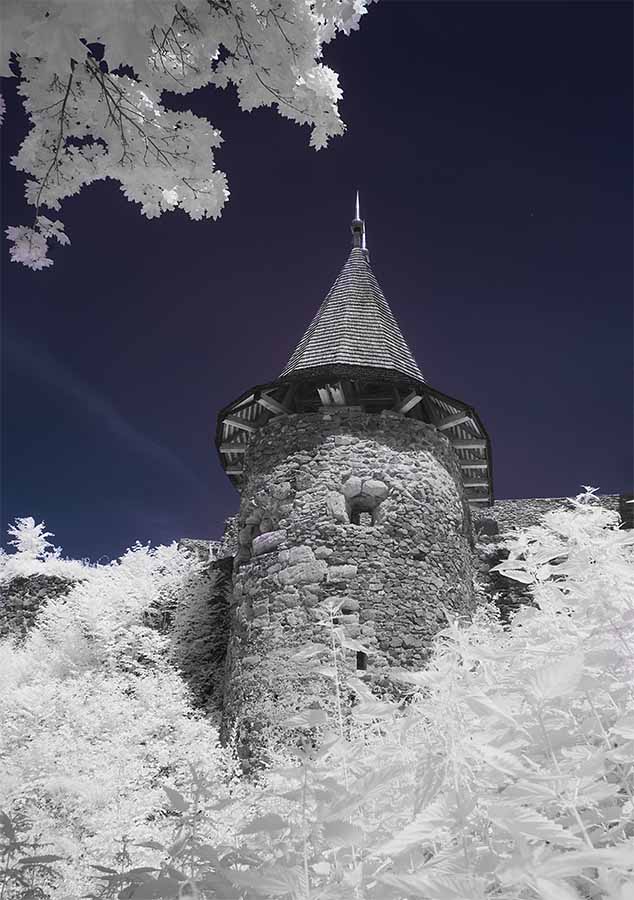 Infrared shooting with filters