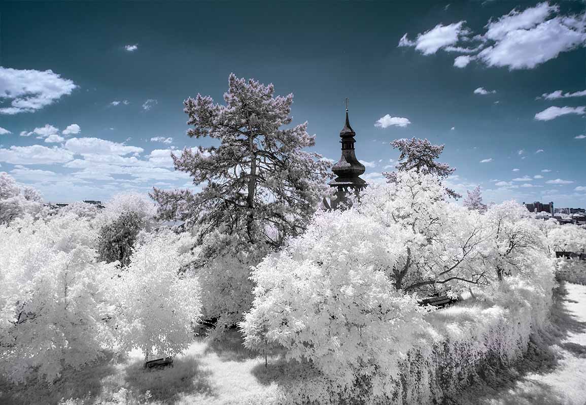 Infrared photography Oleg Grigoryev