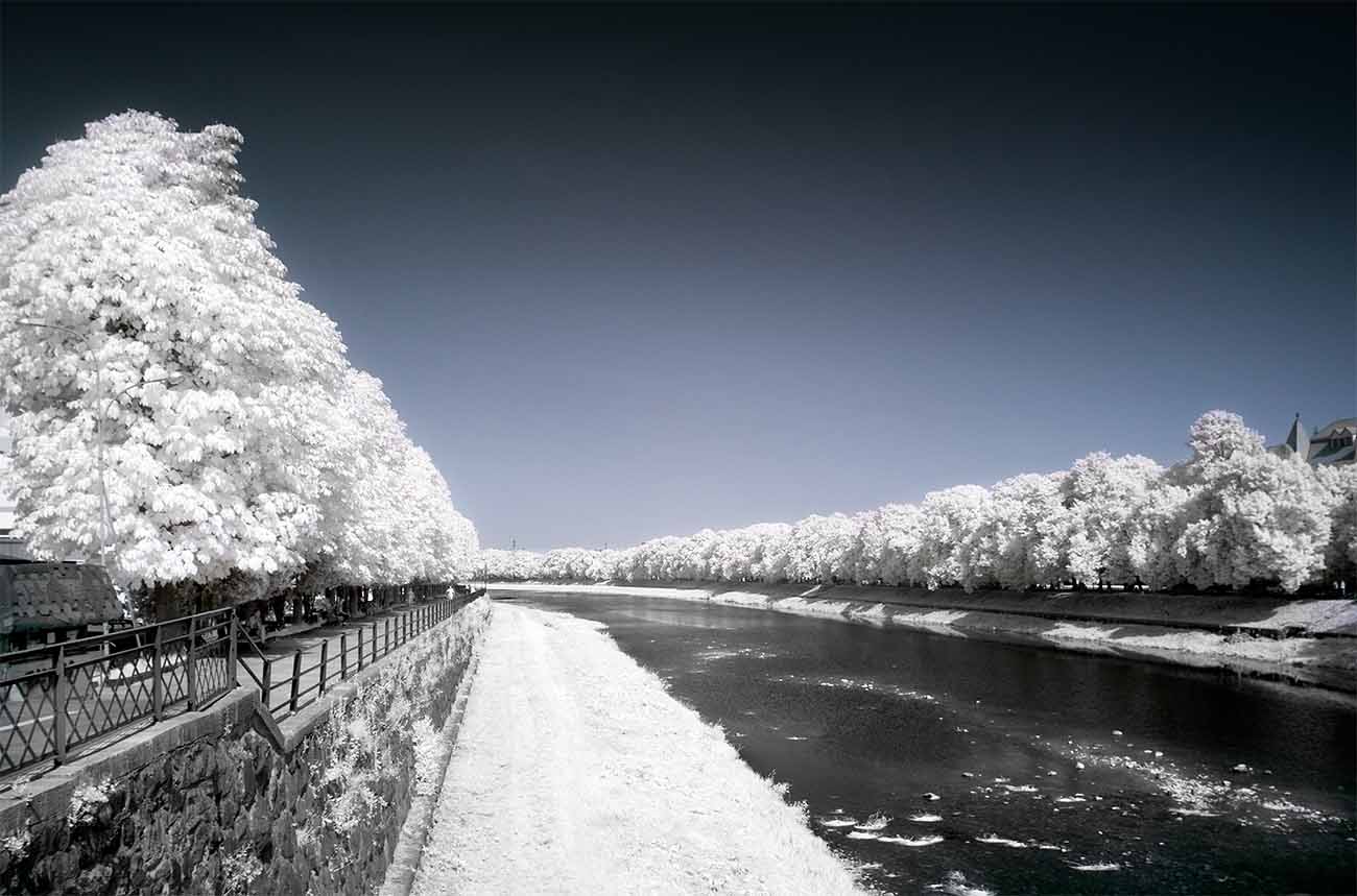 Infrared shooting on a digital camera