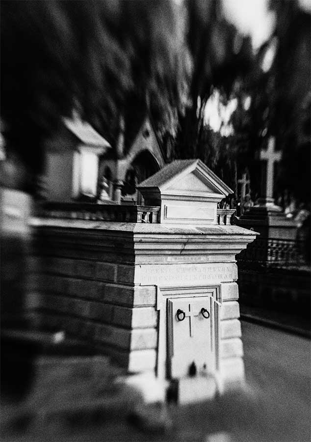 History Lychakiv cemetery photo
