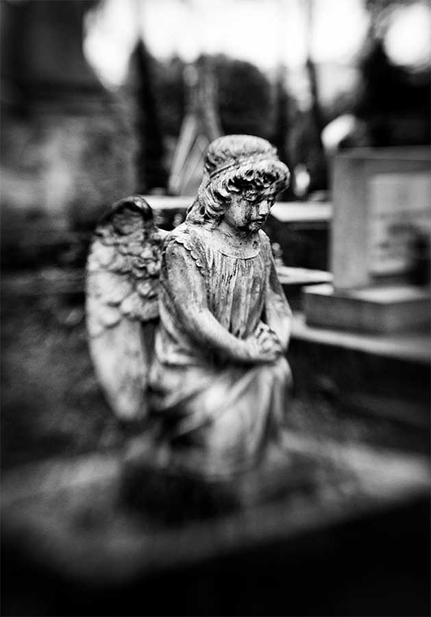 Sculptures and monuments Lychakiv cemetery