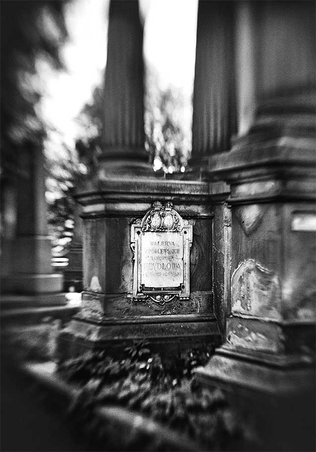 Lychakiv Cemetery Lviv photos