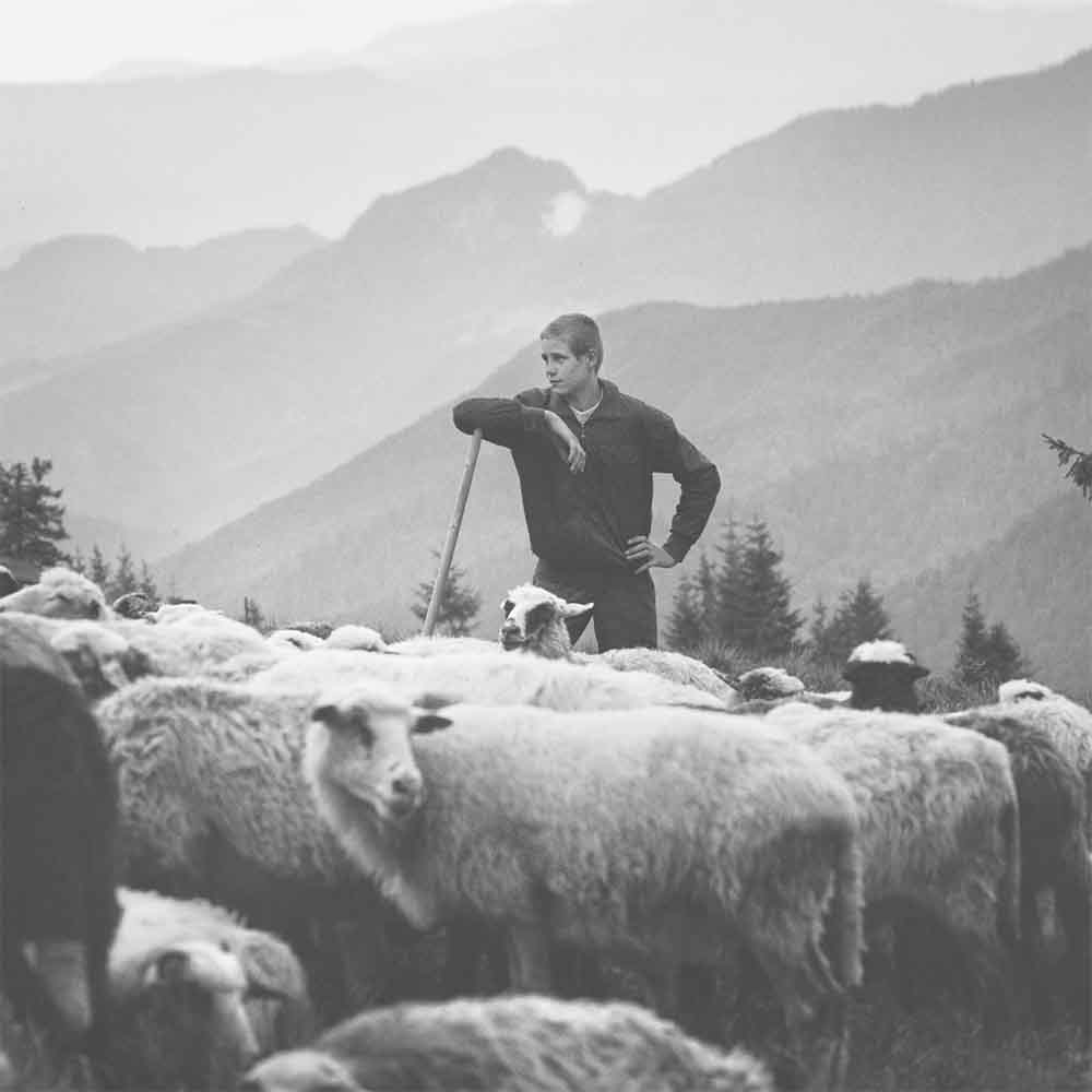 Пастухи в Карпатах